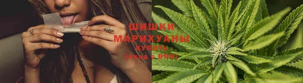 PSILOCYBIN Мегион