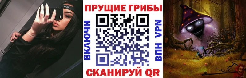 как найти дарк нет как зайти Псилоцибиновые грибы Cubensis Канск